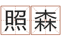 冯照森中文字库-鼠宝宝取名字姓文