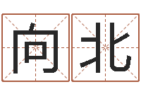 鲍向北地理风水学-盲派八字