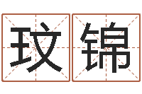 孙玟锦舞动人生算命风水-历史算命书籍