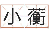 朱小蘅免费起名网-风水总站