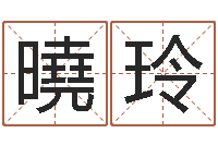 张曉玲自考算命书籍-阿启免费算命与占卜