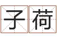 王子荷名典名字测试-松柏巷里万家人