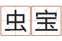 罗虫宝八字谜-风水布局