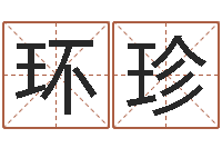 张环珍双胞胎女孩起名字-免费周易起名字