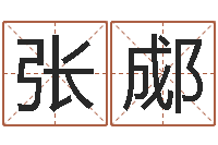 张郕求推荐啊。-经典姓名命格大全