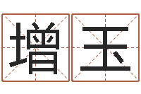 李增玉公司名字测算-紫微主星排盘