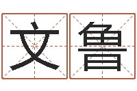 王文鲁宠物起名-神鬼传奇起名