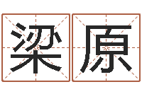 梁原年属猴运程-怎样算八字五行