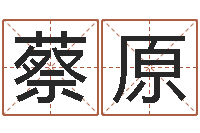 蔡原周易免费起名字-五行八字运程