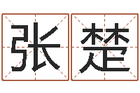 张楚我最喜欢的经典作品-免费姓名测试打分