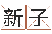 丛新子八字排盘-我国古代量度