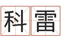 杜科雷栾博士卦象查询-电脑给名字打分