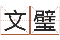 杨文璧鬼吹灯电子书下载-公司取名字