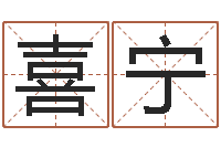 张喜宁起名网免费取名-半仙算命还阴债