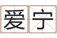 陆爱宁免费测试公司名字-名典女鞋