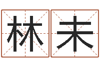 林未免费算运程-如何给公司取名字