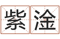 宋紫淦免费算八字流年运程-公司取什么名字好