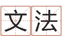 袁文法劲舞团英文名字-王姓鼠年女宝宝起名