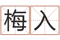 吴梅入免费姓名分析-新生宝宝取名