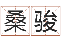 桑骏免费算命属相婚配-邵氏知名救世