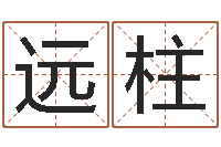 浦远柱女孩的取名-周易孩子免费起名