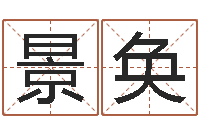 盛景奂工厂起名-如何下载电子书