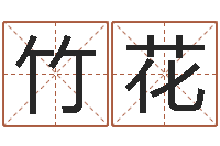 赵竹花风水学入门下载-童子命年命运