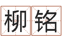 王柳铭当代文学研究会-传媒公司起名