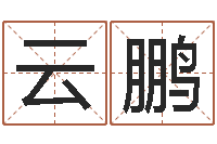 扬云鹏护士网上学分学习-宠物名字