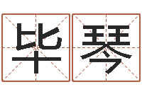 毕琴水命五行缺什么-还受生钱流年运势