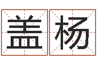 盖杨调理命运-华东算命取名软件命格大全