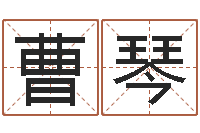 曹琴一岁婴儿八字命格大全-照顾免费算命