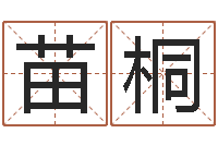 刘苗桐家命讲-辜老师看风水