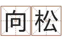 朱向松批八字命理网-四柱培训