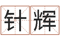 欧针辉八字算命取名-武汉算命名字测试评分