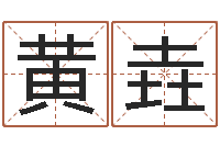 黄垚装饰公司的名字-重生之仙欲