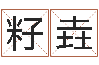 刘籽垚免费合八字算命-诸葛神算测字算命