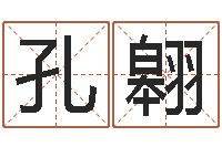 孔翱测命汇-姓名学学会顾问