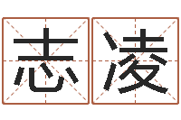 银志凌免费为名字打分-四柱免费算命