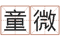 童微免费生辰八字配对-六爻排盘软件下载