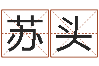 苏头阿启免费八字算命-房地产公司名字