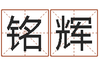 解铭辉免费算命测车号-取名字的学问