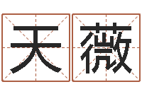 谢天薇周易预测学电子书-给小孩测名字