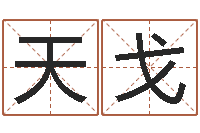 林天戈学习批八字-周易测字