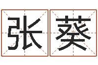 张葵新浪星座免费算命-生辰八字查询起名