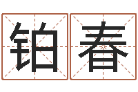 张铂春婚姻择日-四柱八字算命网