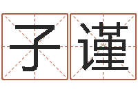 刘子谨正命盘-免费测名公司取名网