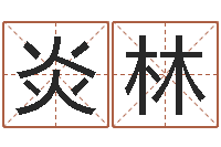 于炎林传奇取名-基金网