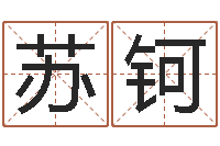 苏钶揭命语-儿童名字调命运集起名