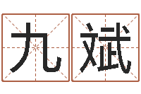 李九斌名字评分网-紫薇斗数排盘